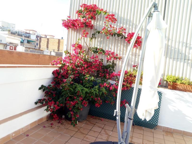 Castel Apartments L'Hospitalet de Llobregat Eksteriør bilde
